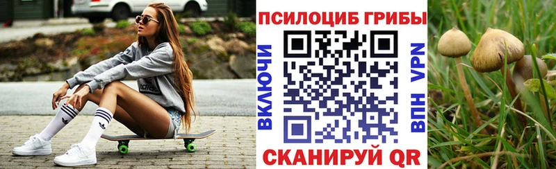 наркошоп  Певек  ОМГ ОМГ ссылки  Галлюциногенные грибы прущие грибы 
